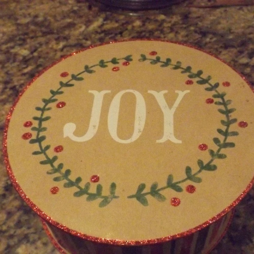 Molly & Rex Joy Christmas round box with lid